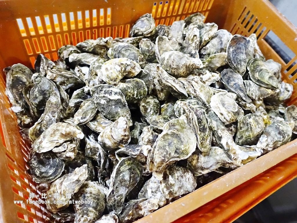 海寶城複合式碳烤 新北五股店 水道活海鮮/碳烤/火鍋吃到飽 泰國蝦、泥鰍、活魚、螃蟹各式高檔海鮮現撈現烤吃爽爽! @兔貝比的菲比尋嚐 海寶城複合式碳烤 新北五股店 水道活海鮮/碳烤/火鍋吃到飽 泰國蝦、泥鰍、活魚、螃蟹各式高檔海鮮現撈現烤吃爽爽! @兔貝比的菲比尋嚐