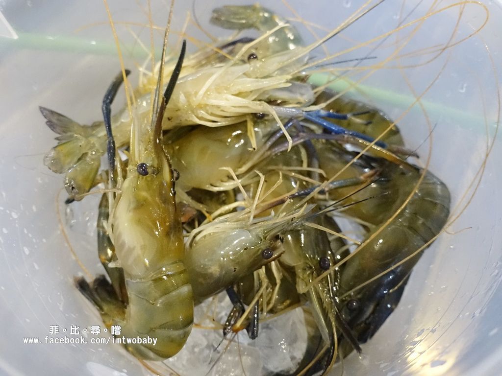 海寶城複合式碳烤 新北五股店 水道活海鮮/碳烤/火鍋吃到飽 泰國蝦、泥鰍、活魚、螃蟹各式高檔海鮮現撈現烤吃爽爽! @兔貝比的菲比尋嚐 海寶城複合式碳烤 新北五股店 水道活海鮮/碳烤/火鍋吃到飽 泰國蝦、泥鰍、活魚、螃蟹各式高檔海鮮現撈現烤吃爽爽! @兔貝比的菲比尋嚐