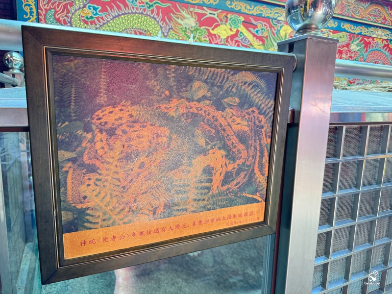 全台最古老的財神爺廟 南崁五福宮 國家3級古蹟 開臺玄壇元帥 鎮廟之寶求財超靈驗！ @兔貝比的菲比尋嚐