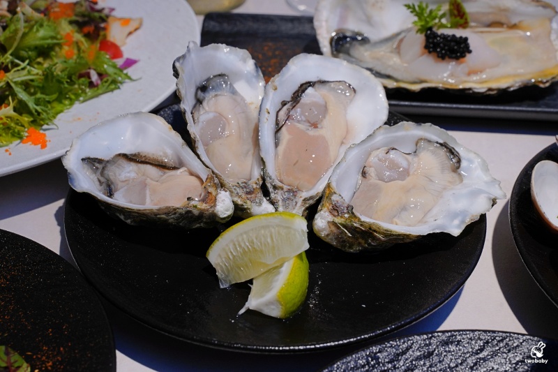 She’ll Oyster bar 敘 空運活體生蠔新鮮平價CP值破表 超狂生蠔塔想吃不用飛廣島 搭捷運就吃得到囉! @兔貝比的菲比尋嚐 She’ll Oyster bar 敘 空運活體生蠔新鮮平價CP值破表 超狂生蠔塔想吃不用飛廣島 搭捷運就吃得到囉! @兔貝比的菲比尋嚐