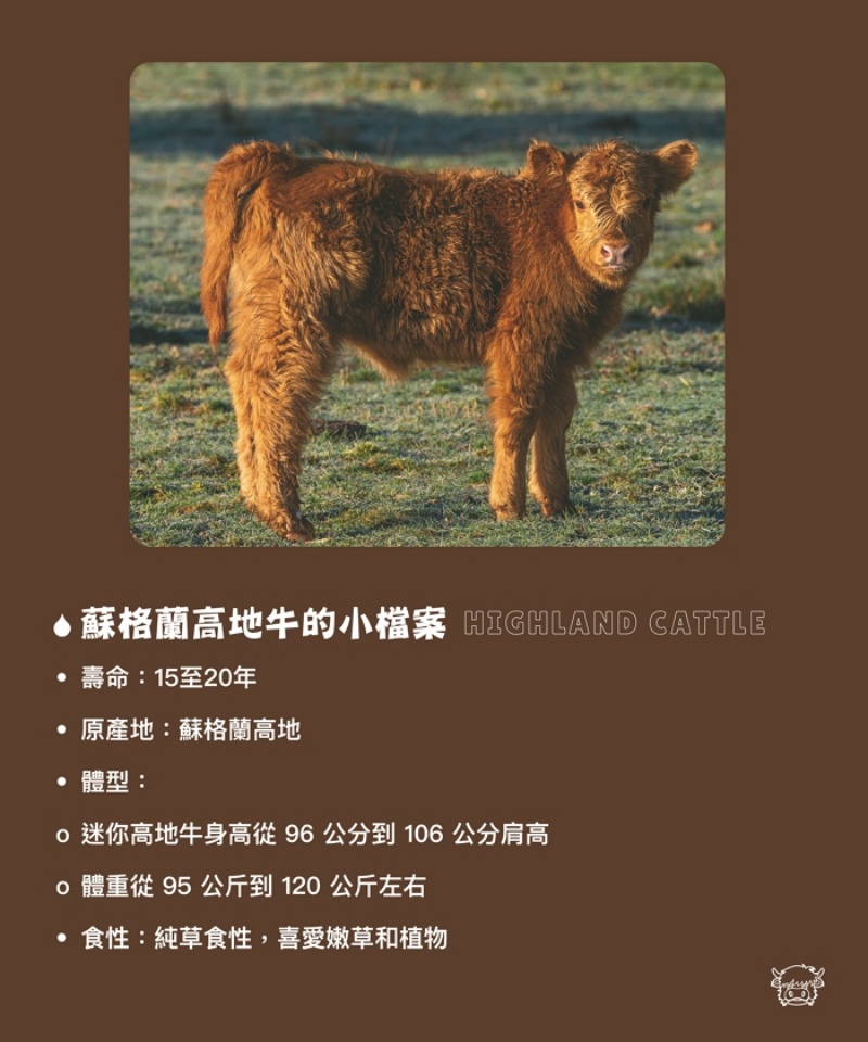 南投埔里景點|水与松萌萌園 零距離跟可愛動物互動與餵食 門票還送小點心! @兔貝比的菲比尋嚐 南投埔里景點|水与松萌萌園 零距離跟可愛動物互動與餵食 門票還送小點心! @兔貝比的菲比尋嚐