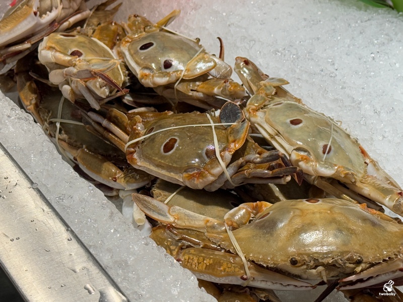千葉火鍋埔里尊爵館 全台CP值最高的分店 竟然有螃蟹、魚頭、披薩、焗烤扇貝、狀元餅！ @兔貝比的菲比尋嚐