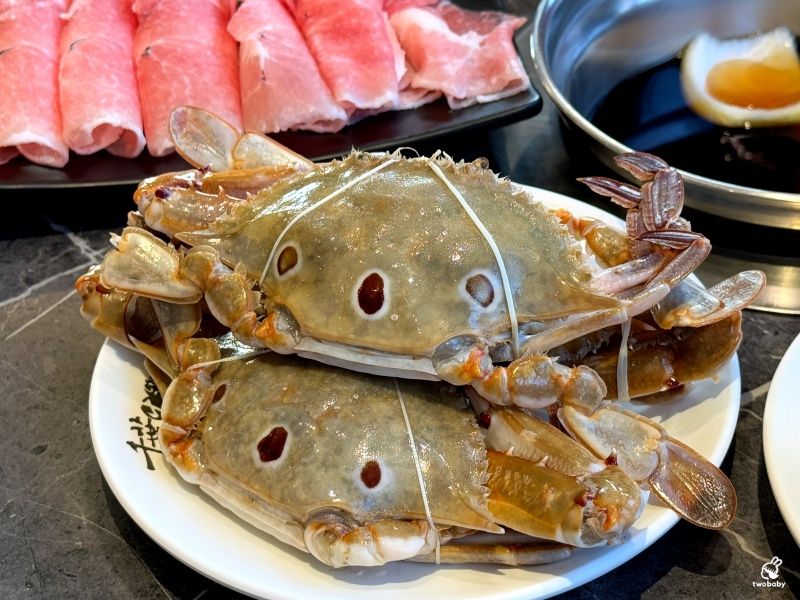 千葉火鍋埔里尊爵館 全台CP值最高的分店 竟然有螃蟹、魚頭、披薩、焗烤扇貝、狀元餅！ @兔貝比的菲比尋嚐