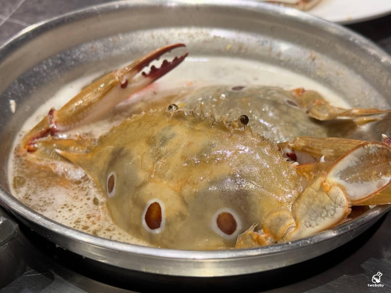 千葉火鍋埔里尊爵館 全台CP值最高的分店 竟然有螃蟹、魚頭、披薩、焗烤扇貝、狀元餅！ @兔貝比的菲比尋嚐