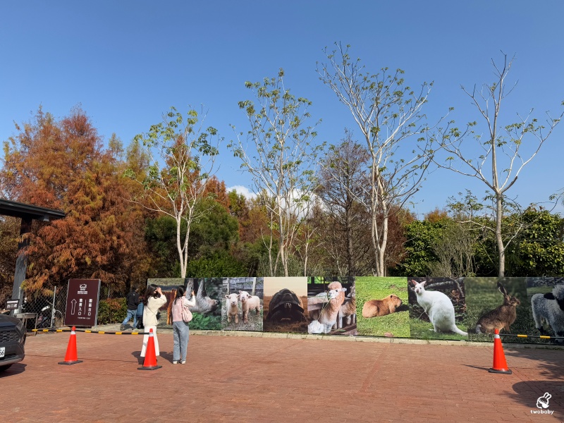 南投埔里景點|水与松萌萌園 零距離跟可愛動物互動與餵食 門票還送小點心! @兔貝比的菲比尋嚐 南投埔里景點|水与松萌萌園 零距離跟可愛動物互動與餵食 門票還送小點心! @兔貝比的菲比尋嚐