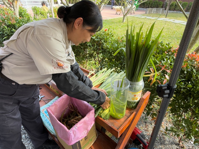 南投埔里景點|水与松萌萌園 零距離跟可愛動物互動與餵食 門票還送小點心! @兔貝比的菲比尋嚐 南投埔里景點|水与松萌萌園 零距離跟可愛動物互動與餵食 門票還送小點心! @兔貝比的菲比尋嚐