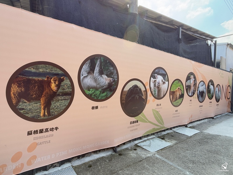 南投埔里景點|水与松萌萌園 零距離跟可愛動物互動與餵食 門票還送小點心! @兔貝比的菲比尋嚐 南投埔里景點|水与松萌萌園 零距離跟可愛動物互動與餵食 門票還送小點心! @兔貝比的菲比尋嚐
