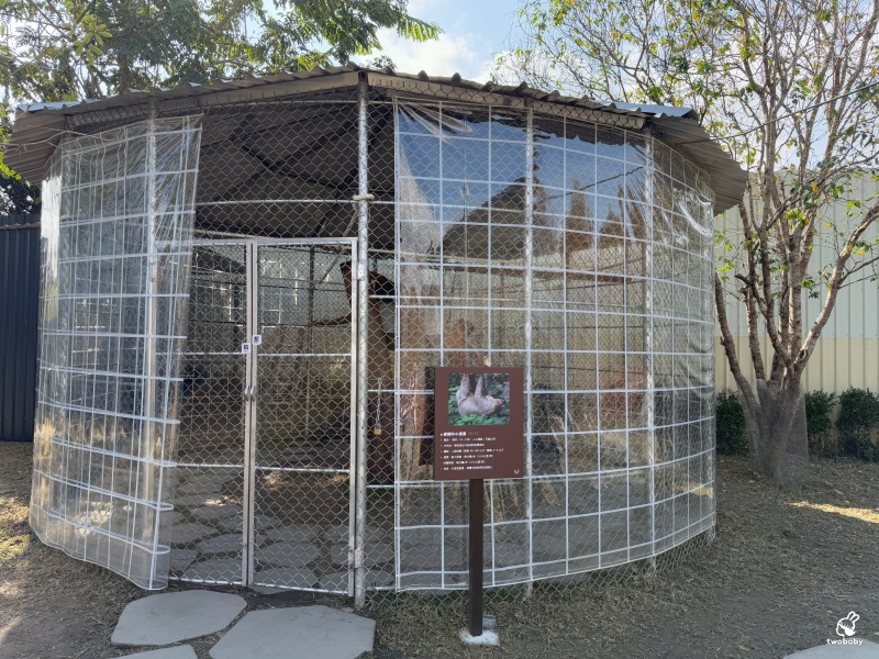 南投埔里景點|水与松萌萌園 零距離跟可愛動物互動與餵食 門票還送小點心! @兔貝比的菲比尋嚐 南投埔里景點|水与松萌萌園 零距離跟可愛動物互動與餵食 門票還送小點心! @兔貝比的菲比尋嚐