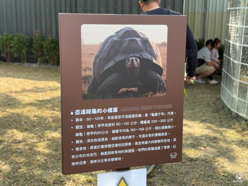 南投埔里景點|水与松萌萌園 零距離跟可愛動物互動與餵食 門票還送小點心! @兔貝比的菲比尋嚐 南投埔里景點|水与松萌萌園 零距離跟可愛動物互動與餵食 門票還送小點心! @兔貝比的菲比尋嚐