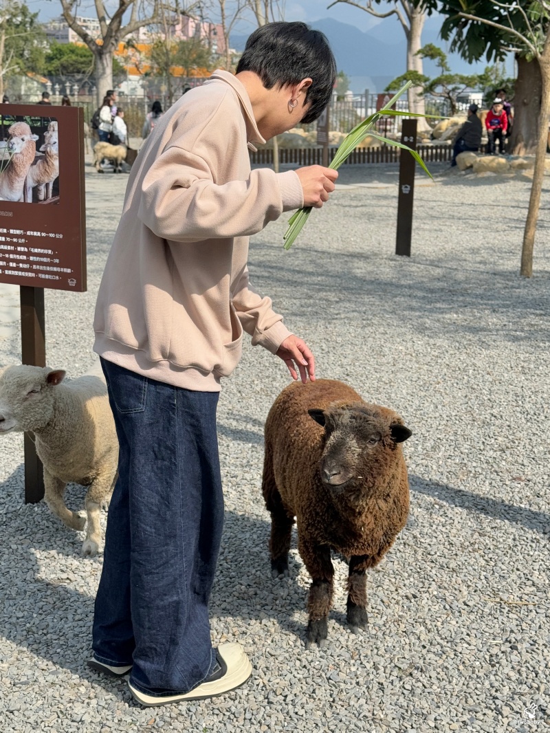 南投埔里景點|水与松萌萌園 零距離跟可愛動物互動與餵食 門票還送小點心! @兔貝比的菲比尋嚐 南投埔里景點|水与松萌萌園 零距離跟可愛動物互動與餵食 門票還送小點心! @兔貝比的菲比尋嚐
