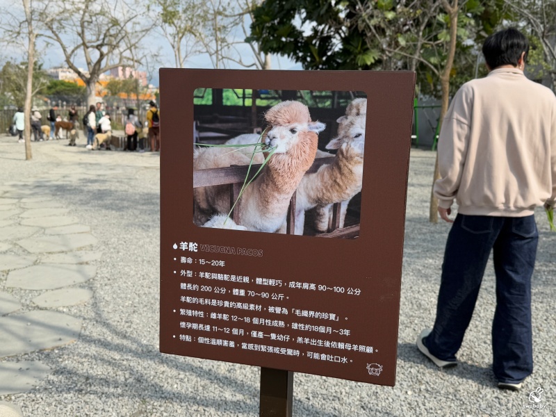 南投埔里景點|水与松萌萌園 零距離跟可愛動物互動與餵食 門票還送小點心! @兔貝比的菲比尋嚐 南投埔里景點|水与松萌萌園 零距離跟可愛動物互動與餵食 門票還送小點心! @兔貝比的菲比尋嚐