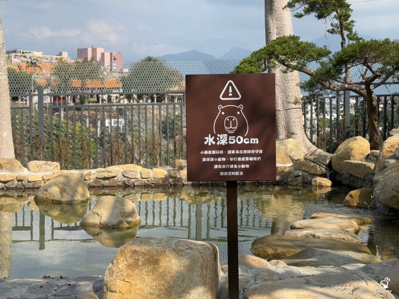 南投埔里景點|水与松萌萌園 零距離跟可愛動物互動與餵食 門票還送小點心! @兔貝比的菲比尋嚐 南投埔里景點|水与松萌萌園 零距離跟可愛動物互動與餵食 門票還送小點心! @兔貝比的菲比尋嚐