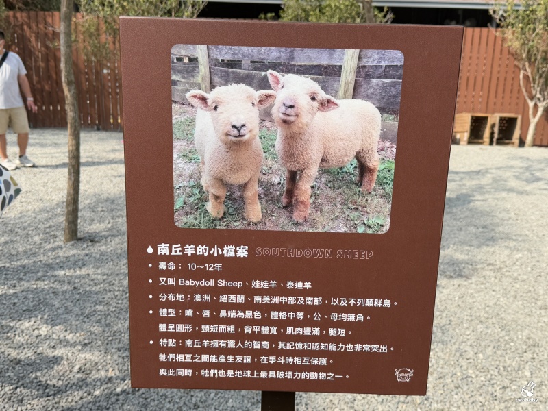 南投埔里景點|水与松萌萌園 零距離跟可愛動物互動與餵食 門票還送小點心! @兔貝比的菲比尋嚐 南投埔里景點|水与松萌萌園 零距離跟可愛動物互動與餵食 門票還送小點心! @兔貝比的菲比尋嚐