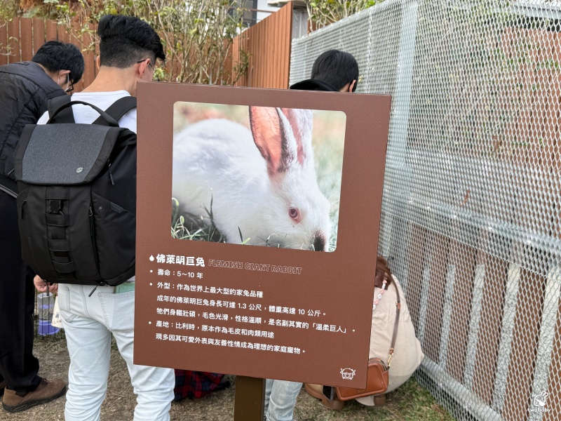 南投埔里景點|水与松萌萌園 零距離跟可愛動物互動與餵食 門票還送小點心! @兔貝比的菲比尋嚐 南投埔里景點|水与松萌萌園 零距離跟可愛動物互動與餵食 門票還送小點心! @兔貝比的菲比尋嚐