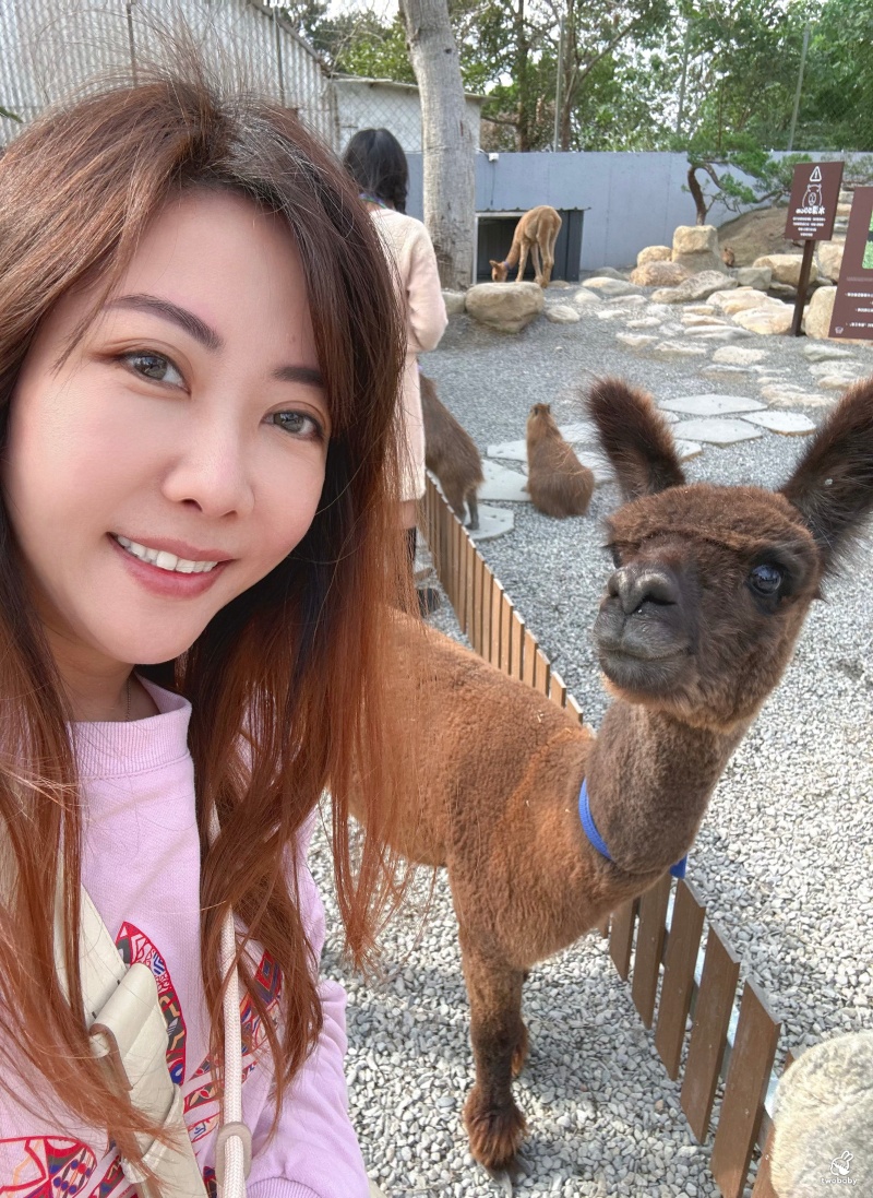 南投埔里景點|水与松萌萌園 零距離跟可愛動物互動與餵食 門票還送小點心! @兔貝比的菲比尋嚐 南投埔里景點|水与松萌萌園 零距離跟可愛動物互動與餵食 門票還送小點心! @兔貝比的菲比尋嚐