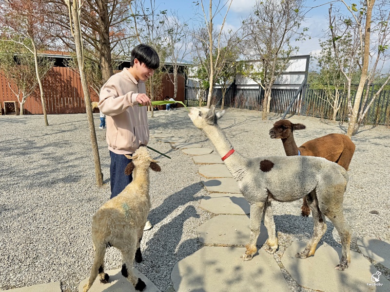 南投埔里景點|水与松萌萌園 零距離跟可愛動物互動與餵食 門票還送小點心! @兔貝比的菲比尋嚐 南投埔里景點|水与松萌萌園 零距離跟可愛動物互動與餵食 門票還送小點心! @兔貝比的菲比尋嚐