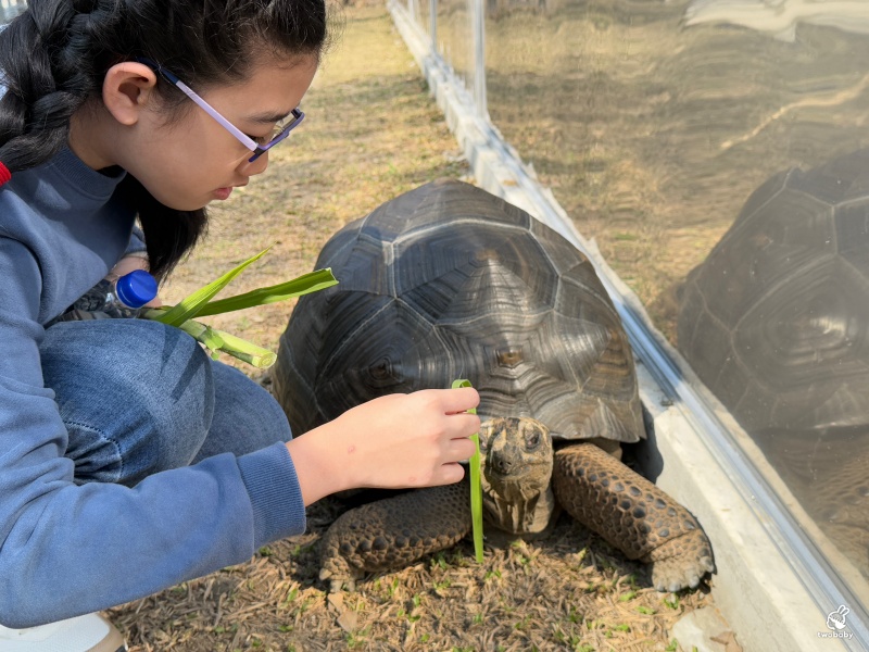 南投埔里景點|水与松萌萌園 零距離跟可愛動物互動與餵食 門票還送小點心! @兔貝比的菲比尋嚐 南投埔里景點|水与松萌萌園 零距離跟可愛動物互動與餵食 門票還送小點心! @兔貝比的菲比尋嚐