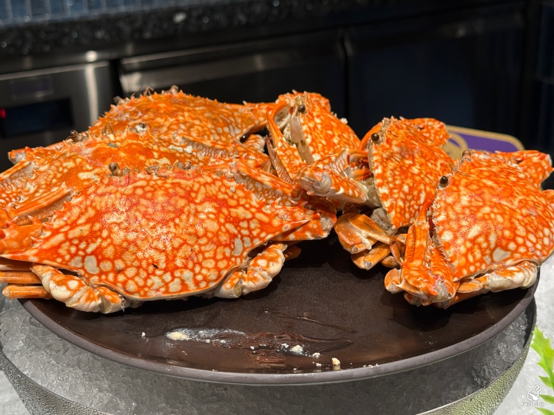 旭集 和食集錦 微風店新開幕｜台北高級日料吃到飽餐廳最新開箱，9大餐區品項＋必吃推薦菜色 @兔貝比的菲比尋嚐