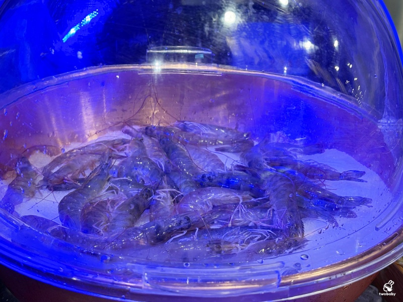 南台灣火鍋霸主《饗麻饗辣PLUS》進軍台北囉！火鍋＋Buffet吃到飽 CP值大升級一定要衝！饗麻饗辣PLUS LaLaport南港店菜色一覽 @兔貝比的菲比尋嚐