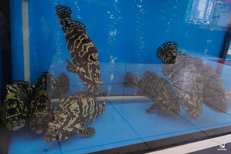 【基隆海鮮桌菜推薦】帝龍海產餐廳｜現撈海鮮好吃份量大 龍蝦三明治必點、蒜泥鮑魚板條、生菜蝦鬆 單點合菜都有 還有免費停車場 @兔貝比的菲比尋嚐