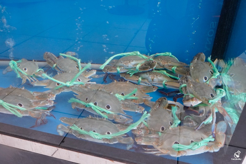 【基隆海鮮桌菜推薦】帝龍海產餐廳｜現撈海鮮好吃份量大 龍蝦三明治必點、蒜泥鮑魚板條、生菜蝦鬆 單點合菜都有 還有免費停車場 @兔貝比的菲比尋嚐