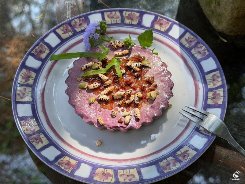 嫁婆j&agrave; po｜埔里隱藏版森林系樹屋秘境咖啡館 像誤闖宮崎駿場景！ @兔貝比的菲比尋嚐