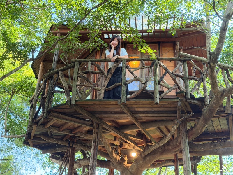 嫁婆jà po|埔里隱藏版森林系樹屋秘境咖啡館 像誤闖宮崎駿場景! @兔貝比的菲比尋嚐 嫁婆jà po|埔里隱藏版森林系樹屋秘境咖啡館 像誤闖宮崎駿場景! @兔貝比的菲比尋嚐