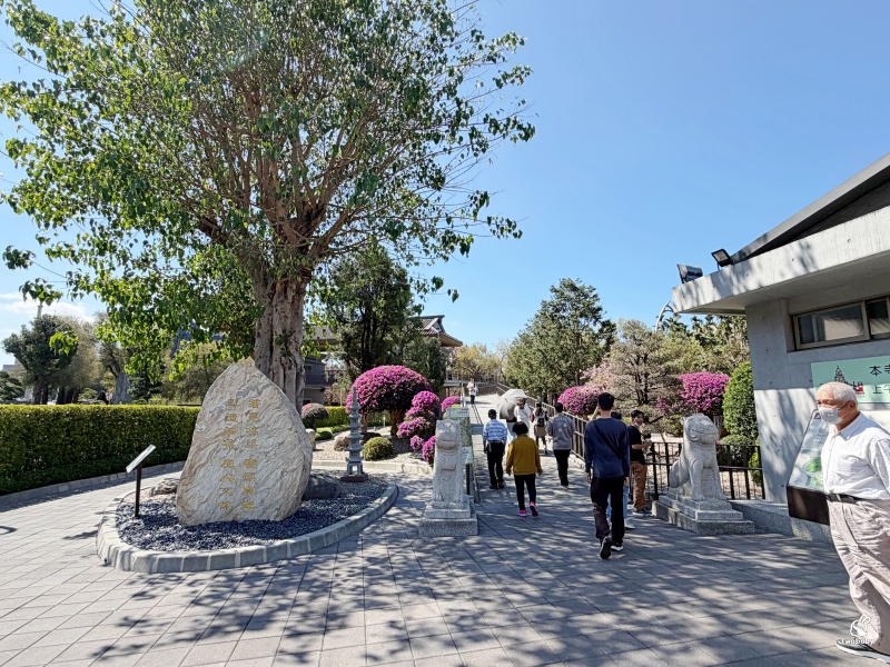 南投走春景點推薦|中台禪寺參訪,過年祈福、建築震撼與心靈沉澱一次滿足 @兔貝比的菲比尋嚐 南投走春景點推薦|中台禪寺參訪,過年祈福、建築震撼與心靈沉澱一次滿足 @兔貝比的菲比尋嚐