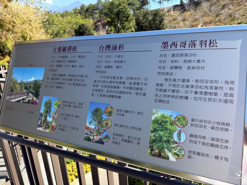 南投走春景點推薦｜中台禪寺參訪，過年祈福、建築震撼與心靈沉澱一次滿足 @兔貝比的菲比尋嚐
