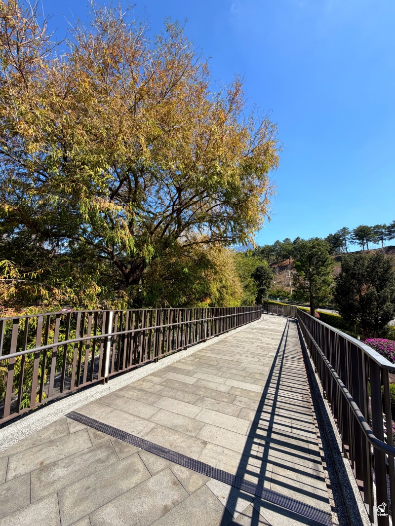 南投走春景點推薦｜中台禪寺參訪，過年祈福、建築震撼與心靈沉澱一次滿足 @兔貝比的菲比尋嚐