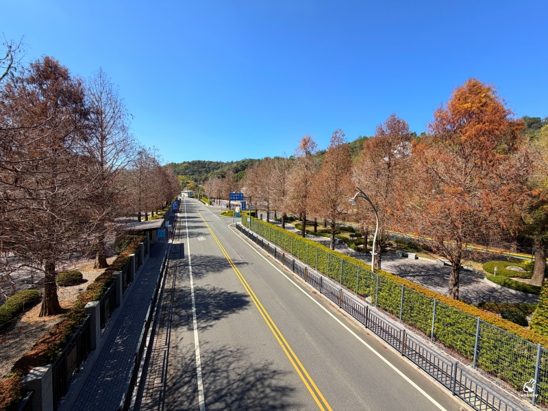 南投走春景點推薦｜中台禪寺參訪，過年祈福、建築震撼與心靈沉澱一次滿足 @兔貝比的菲比尋嚐
