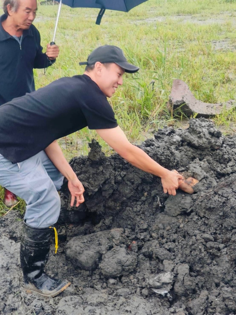 宜蘭壯圍新景點｜順風宮冰棒土地公免費吃冰、求財祈福一次滿足！ @兔貝比的菲比尋嚐
