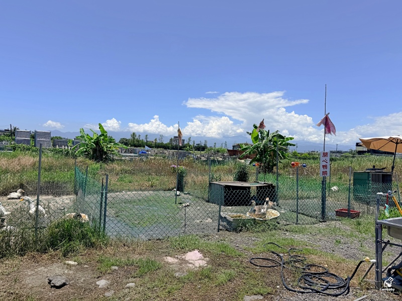 宜蘭壯圍新景點｜順風宮冰棒土地公免費吃冰、求財祈福一次滿足！ @兔貝比的菲比尋嚐