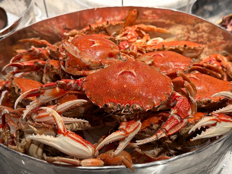 饗食天堂林口三井店 超過200道料理 火烤藍鑽蝦、現切牛排、生魚片、哈根達斯吃到飽完整開箱 @兔貝比的菲比尋嚐