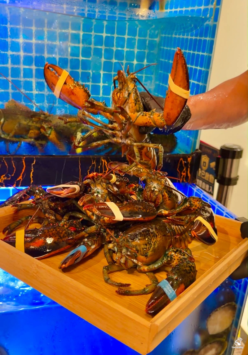台北鮑魚雞湯火鍋|星曜雞湯 雞湯 火鍋 酒肆 二訪雞湯界LV再升級!花膠全雞鮮鮑金湯、A5日本和牛、活龍蝦一次滿足!活龍蝦買一送一 父親節加碼送活鮑 @兔貝比的菲比尋嚐 台北鮑魚雞湯火鍋|星曜雞湯 雞湯 火鍋 酒肆 二訪雞湯界LV再升級!花膠全雞鮮鮑金湯、A5日本和牛、活龍蝦一次滿足!活龍蝦買一送一 父親節加碼送活鮑 @兔貝比的菲比尋嚐