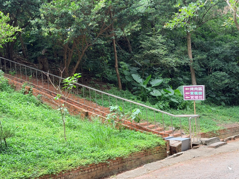 台灣水牛城｜苗栗免費親子景點推薦！磚窯雞、合菜聚餐、看動物一次滿足，佔地超大免門票玩整天！ @兔貝比的菲比尋嚐