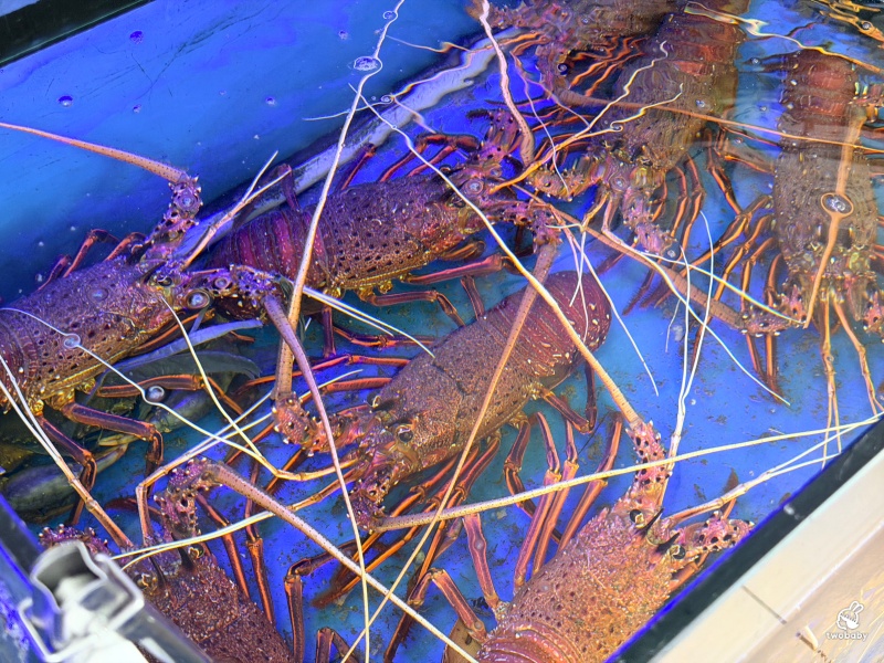 幸福36號海鮮餐廳｜烏石港旁超人氣海鮮餐廳，現撈海鮮價格透明！炸海鰻、川燙小卷、蒜泥鮮蝦板條必點，食尚玩家推薦 @兔貝比的菲比尋嚐