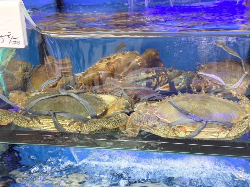 幸福36號海鮮餐廳｜烏石港旁超人氣海鮮餐廳，現撈海鮮價格透明！炸海鰻、川燙小卷、蒜泥鮮蝦板條必點，食尚玩家推薦 @兔貝比的菲比尋嚐