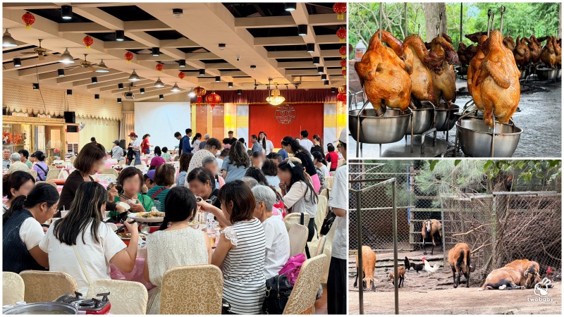 【基隆海鮮桌菜推薦】帝龍海產餐廳｜現撈海鮮好吃份量大 龍蝦三明治必點、蒜泥鮑魚板條、生菜蝦鬆 單點合菜都有 還有免費停車場 @兔貝比的菲比尋嚐