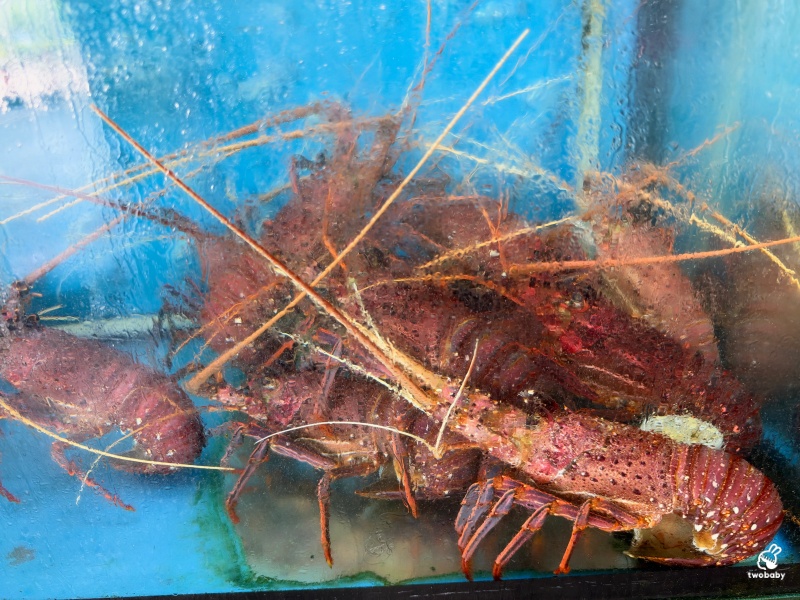 八里美食推薦｜左岸甕仔雞 招牌酥皮甕仔雞 現流海鮮熱炒 白飯吃到飽 還有大停車場！ @兔貝比的菲比尋嚐