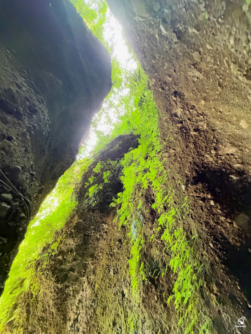 新北五股景點｜觀音山潮音洞，隱身山林的天然一線天秘境！走進巨大岩縫參拜十八臂觀音 @兔貝比的菲比尋嚐