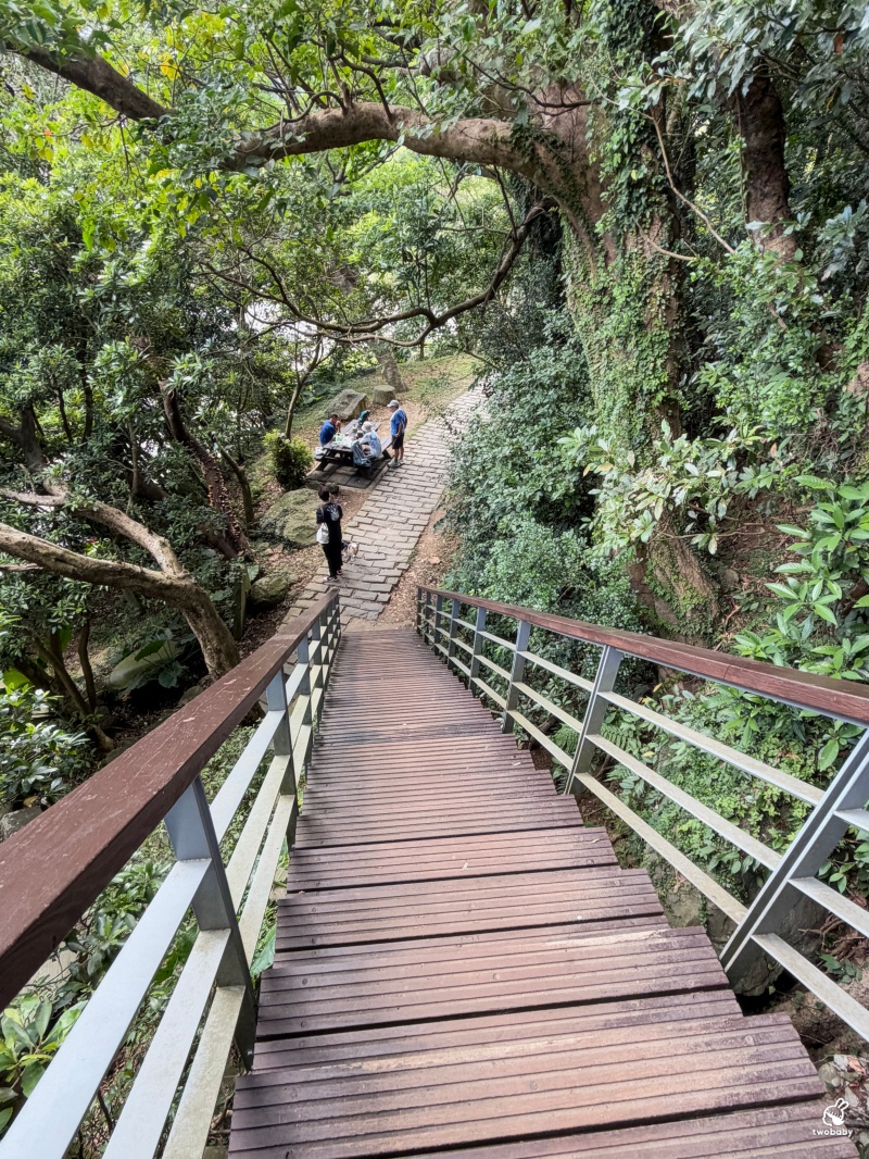 觀音山林梢步道｜新北五股免費景點！漫步森林空中步道，遠眺山巒與城市美景 @兔貝比的菲比尋嚐