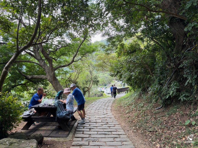 觀音山林梢步道｜新北五股免費景點！漫步森林空中步道，遠眺山巒與城市美景 @兔貝比的菲比尋嚐