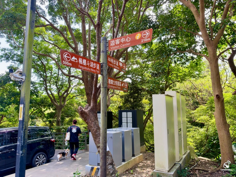 觀音山林梢步道｜新北五股免費景點！漫步森林空中步道，遠眺山巒與城市美景 @兔貝比的菲比尋嚐