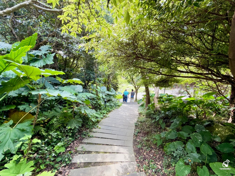 觀音山林梢步道｜新北五股免費景點！漫步森林空中步道，遠眺山巒與城市美景 @兔貝比的菲比尋嚐