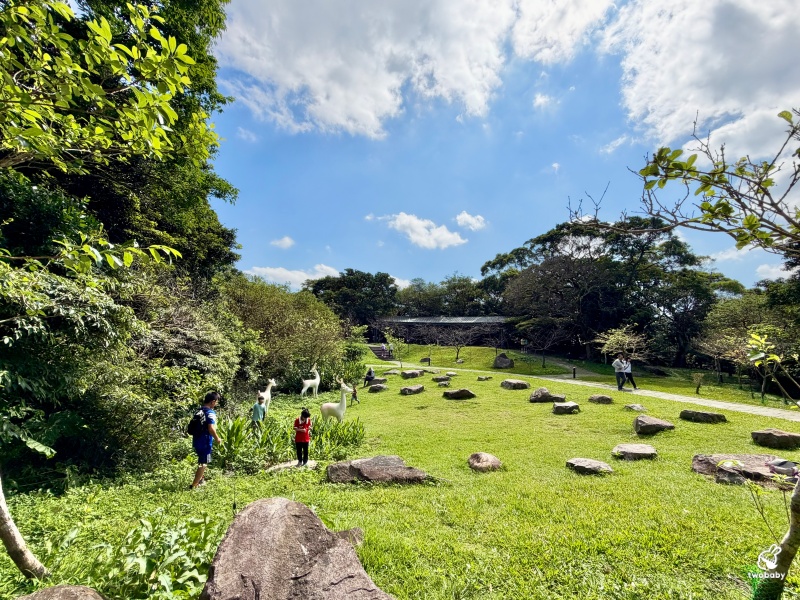 觀音山林梢步道｜新北五股免費景點！漫步森林空中步道，遠眺山巒與城市美景 @兔貝比的菲比尋嚐