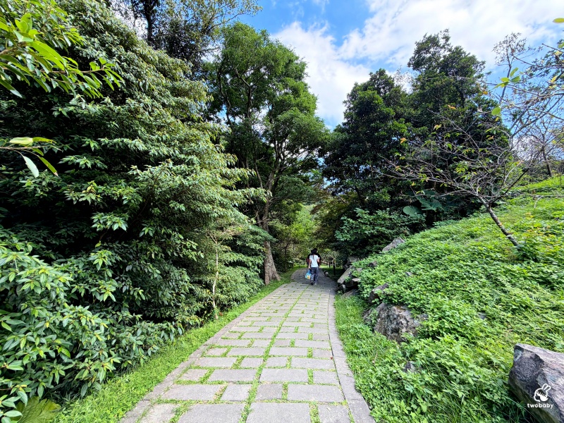 觀音山林梢步道｜新北五股免費景點！漫步森林空中步道，遠眺山巒與城市美景 @兔貝比的菲比尋嚐