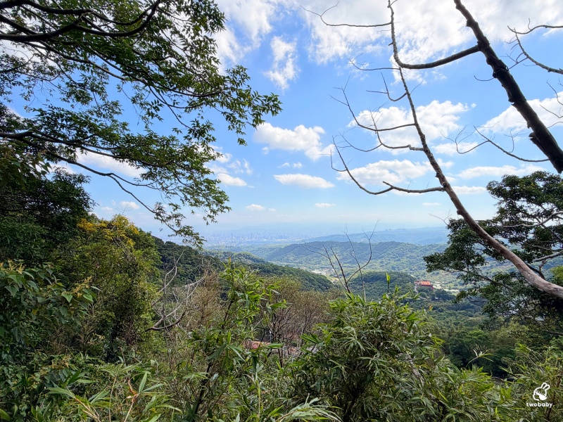 觀音山林梢步道｜新北五股免費景點！漫步森林空中步道，遠眺山巒與城市美景 @兔貝比的菲比尋嚐