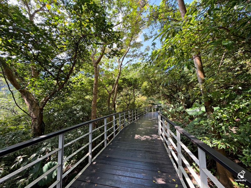 觀音山林梢步道｜新北五股免費景點！漫步森林空中步道，遠眺山巒與城市美景 @兔貝比的菲比尋嚐