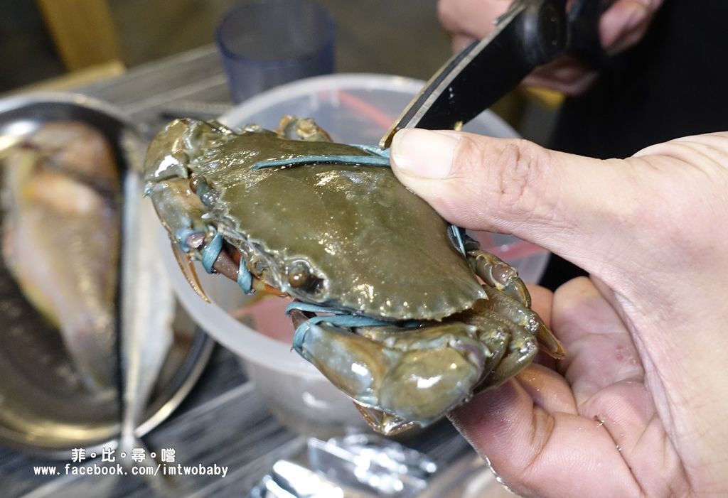 海寶城複合式碳烤 新北五股店 水道活海鮮/碳烤/火鍋吃到飽 泰國蝦、泥鰍、活魚、螃蟹各式高檔海鮮現撈現烤吃爽爽！ @兔貝比的菲比尋嚐